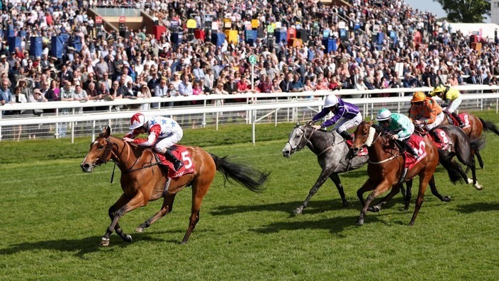 What's The Story takes afternoon glory in the Hambleton Handicap | Racing