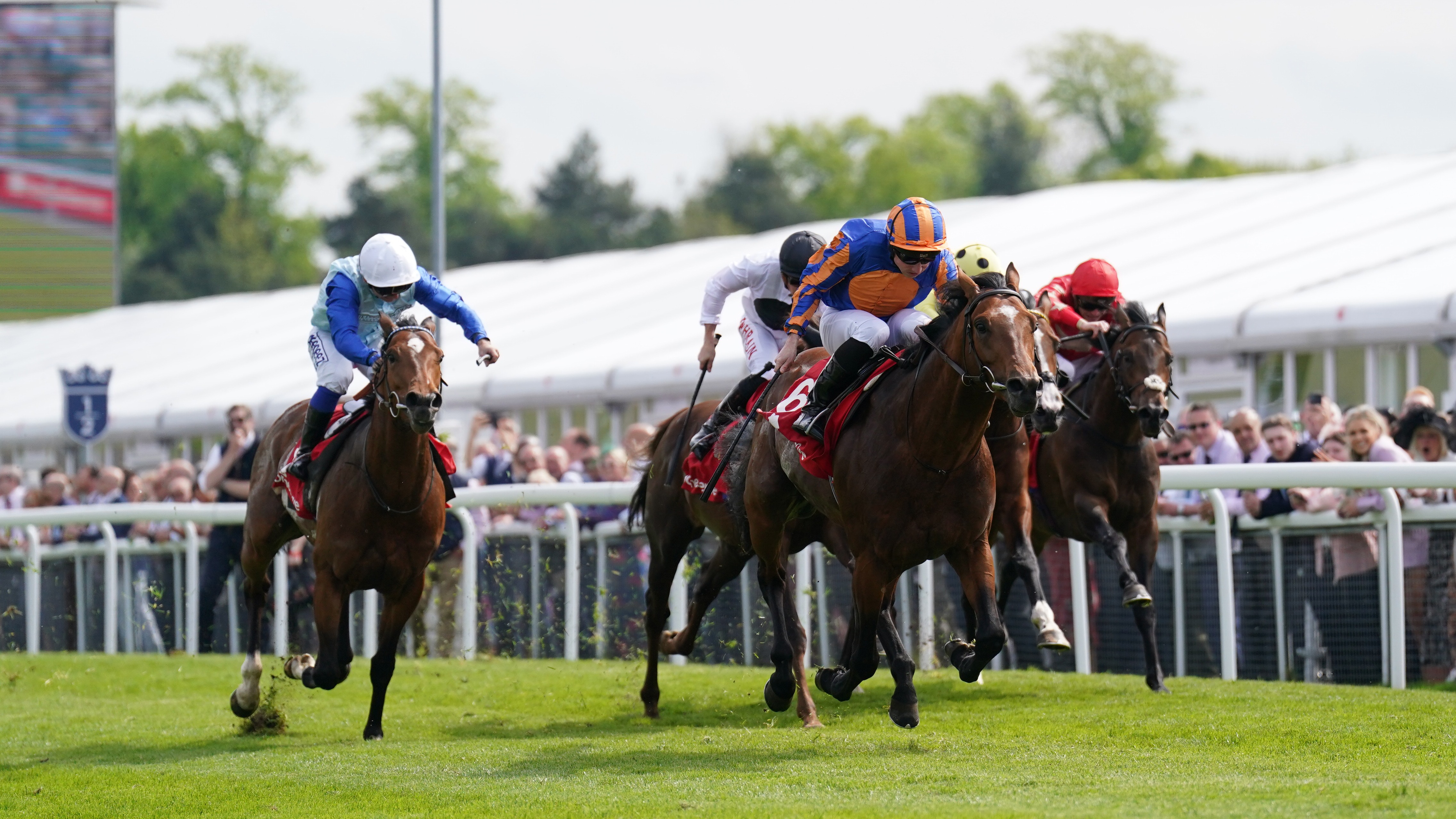 Star Of India shines brightest in Dee Stakes | Racing