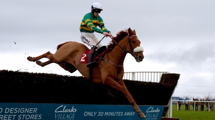 Rising star Modus wins the Novices Chase | Racing