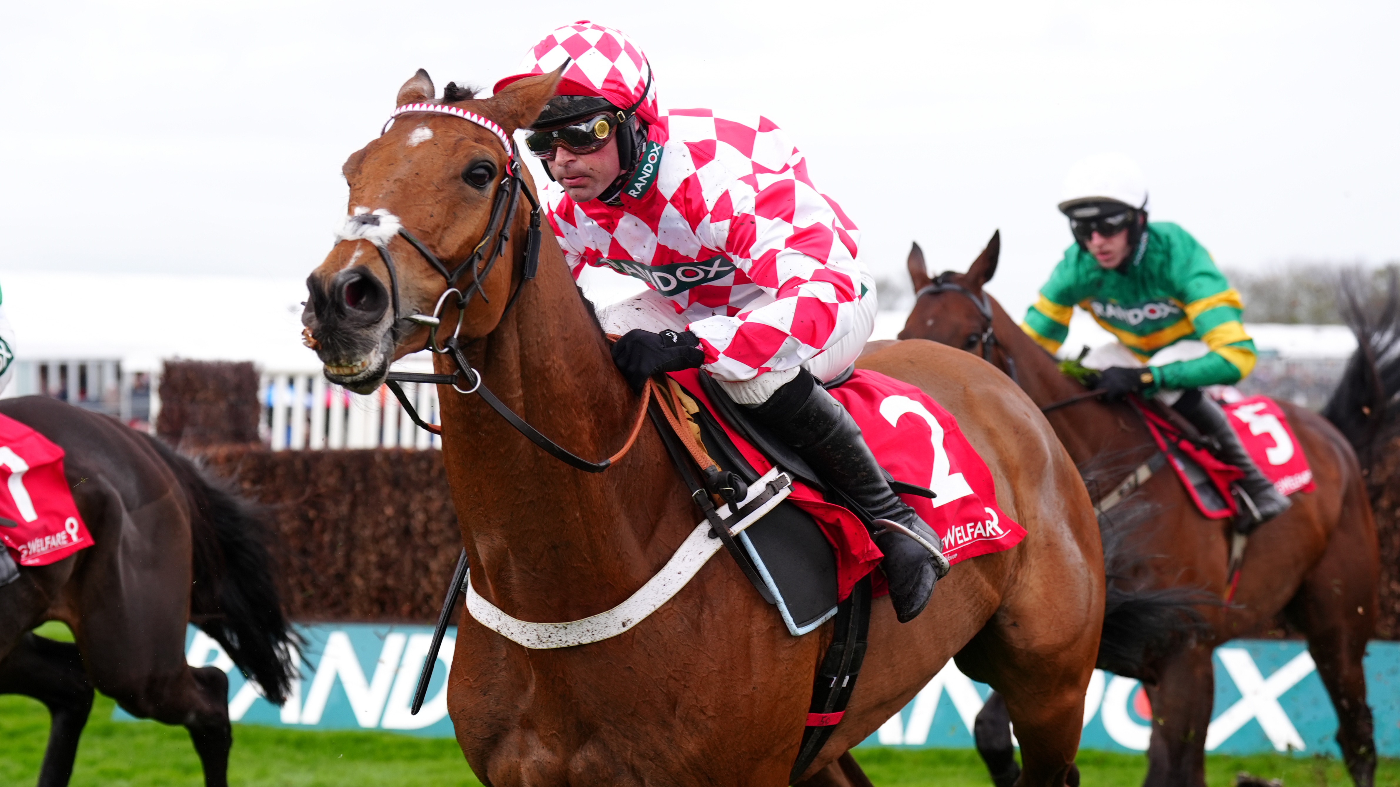 Comp 1 Racing Jango Baie gains Cheltenham compensation with Bowl glory | Racing