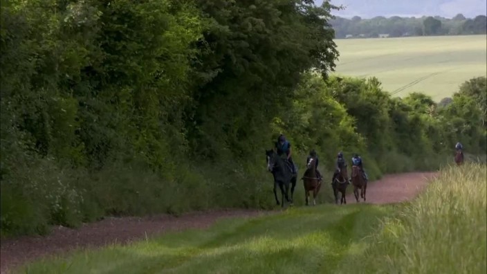 We followed Tip Two Win and Roger Teal from training base to opening ...