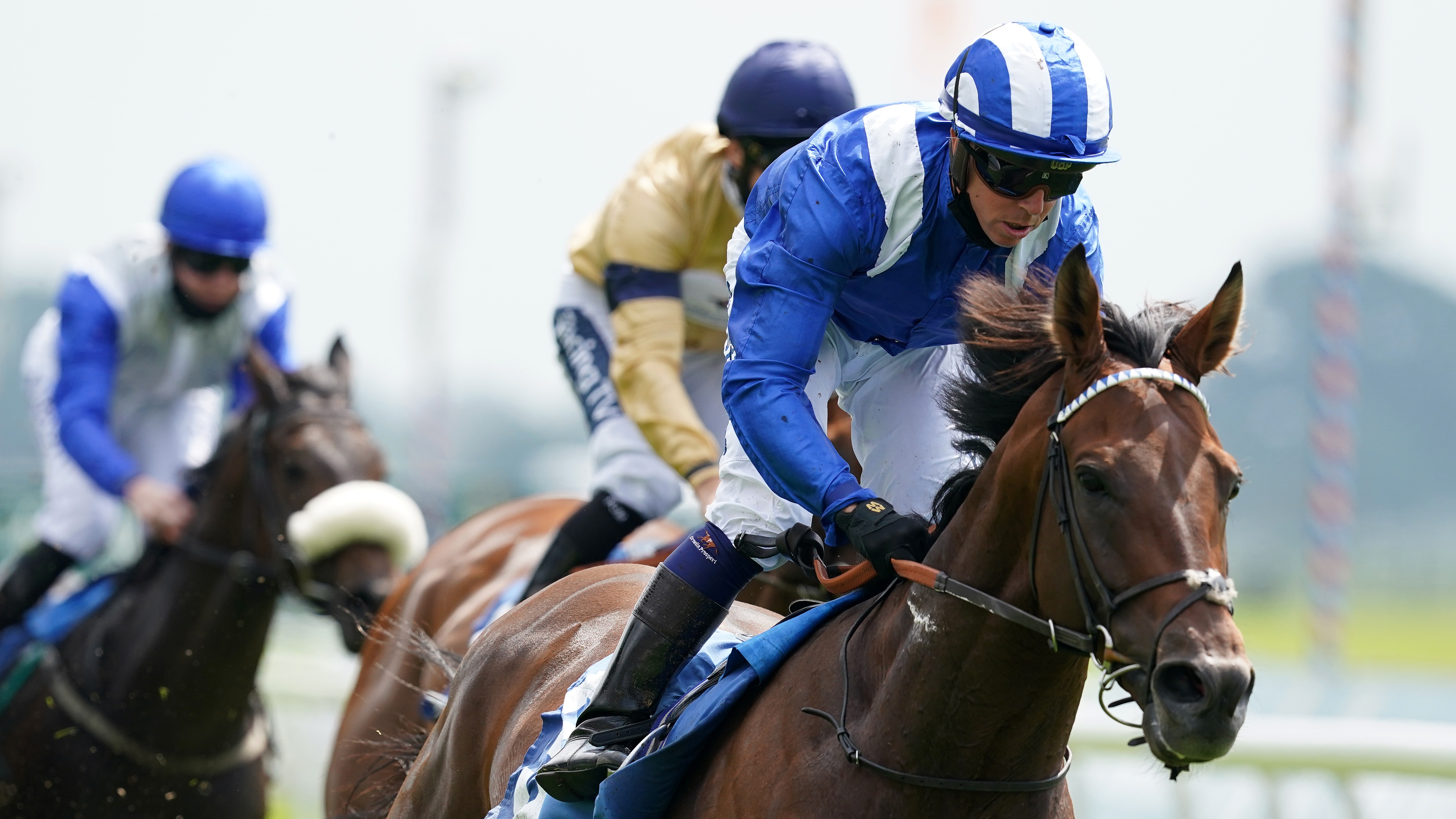 Burrows hoping Hukum and Danyah can star at Newbury | Racing