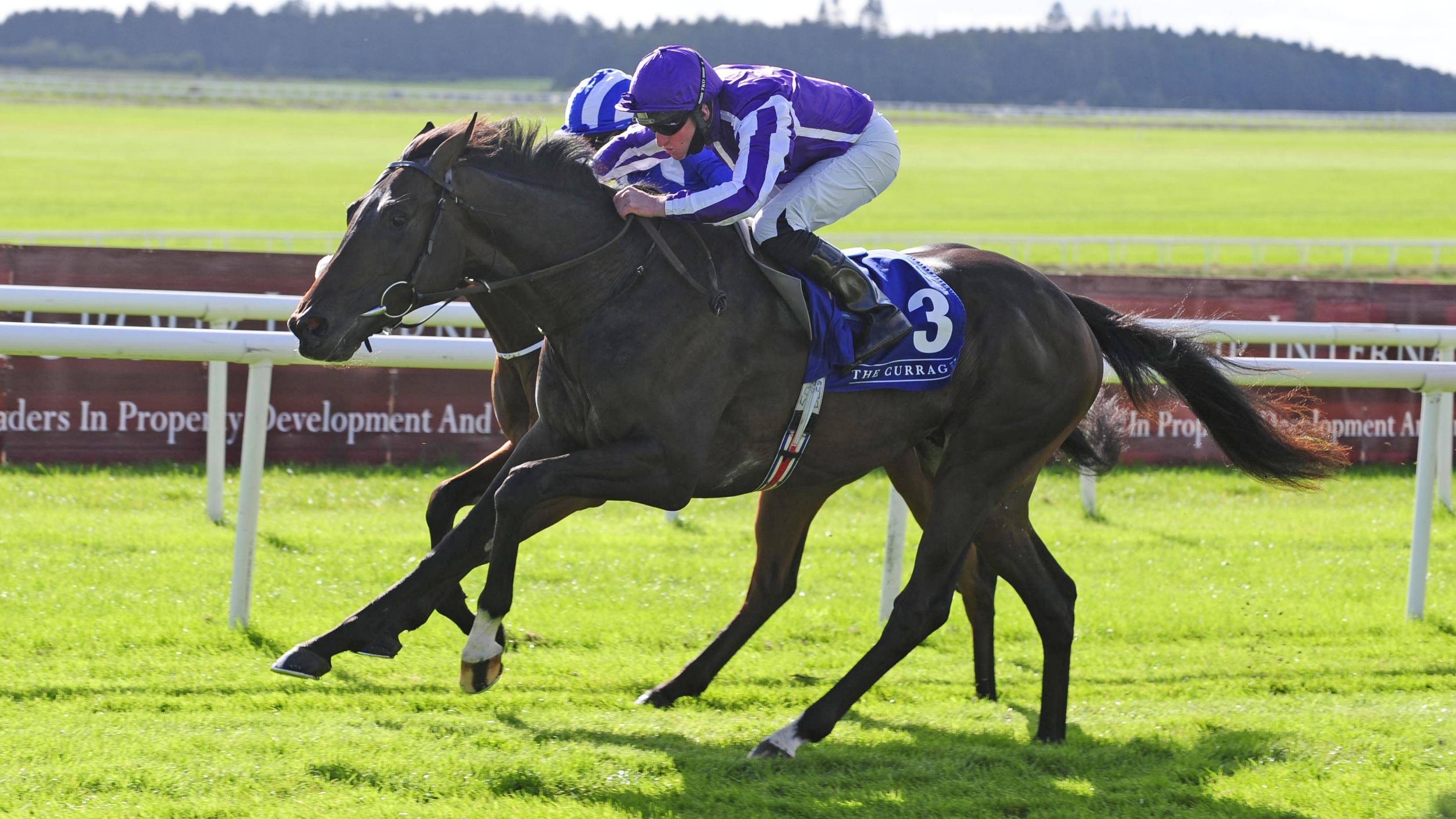 High Definition set to head into winter as Derby favourite | Racing