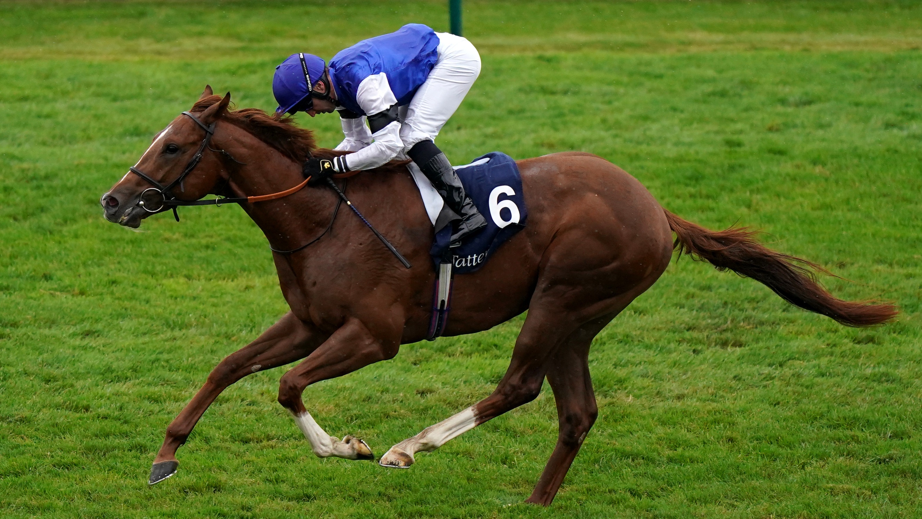 Tatsumaki dominates in the 150,000 Tattersalls October Auction Stakes ...