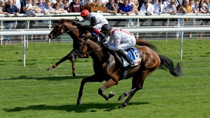 Hamish wins thrilling Sky Bet Melrose Handicap at York | Racing