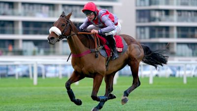 Fanion D Estruval Lives Up To Billing With Win In Get Your Ladbrokes 1 Free Bet Today Handicap Chase Racing Fanion D Estruval Lives Up To Billing With Win In Get Your Ladbrokes 1 Free Bet Today Handicap Chase Racing