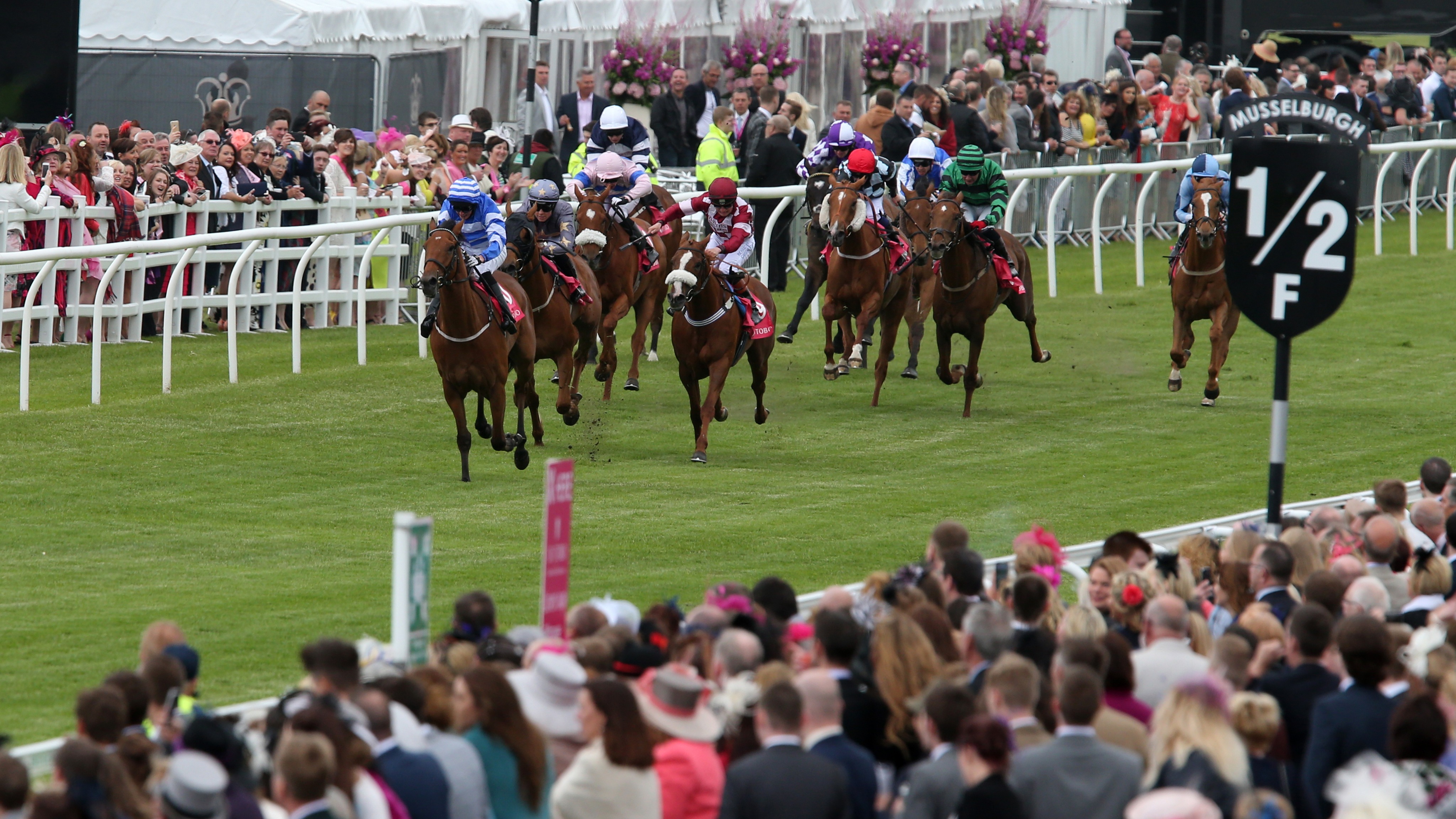 Inaugural 600 000 Sky Bet Sunday Series Fixture Attracts Bumper Fields Racing