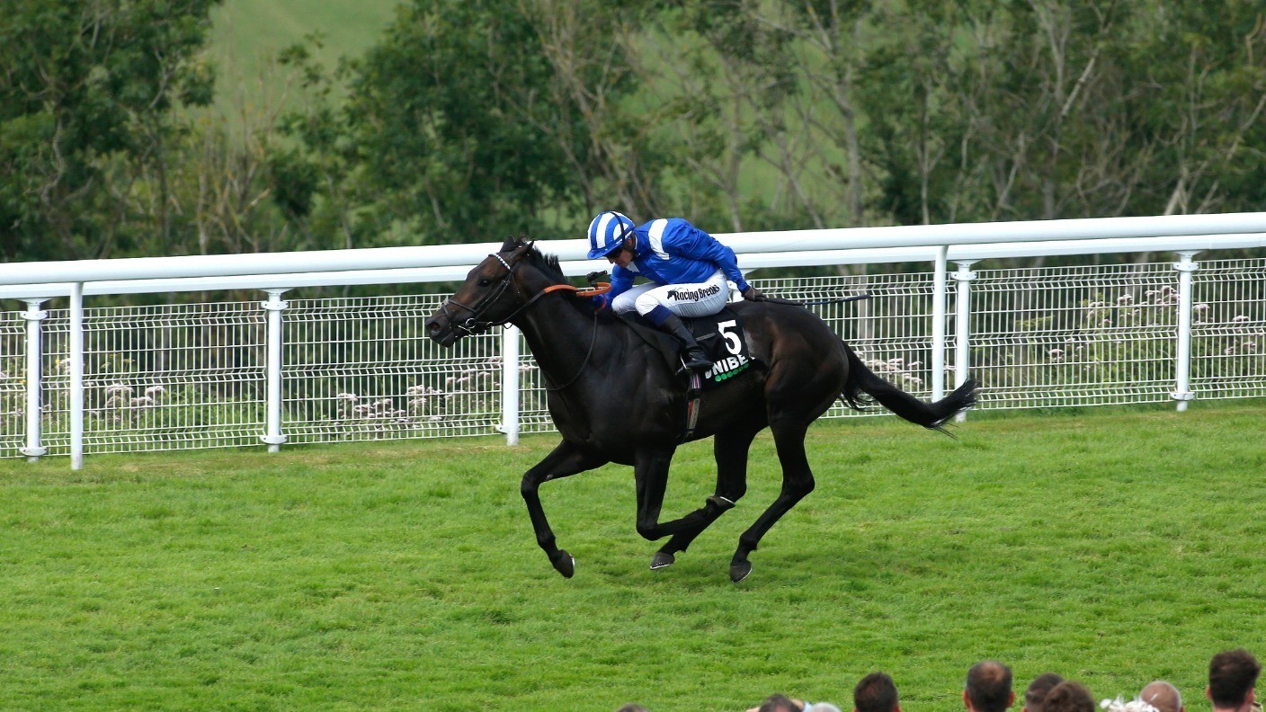 Khaadem bidding to take advantage of Sprint Cup chance | Racing