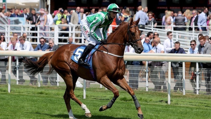 Mr Lupton wins the John Smith's City Walls Stakes at York | Racing