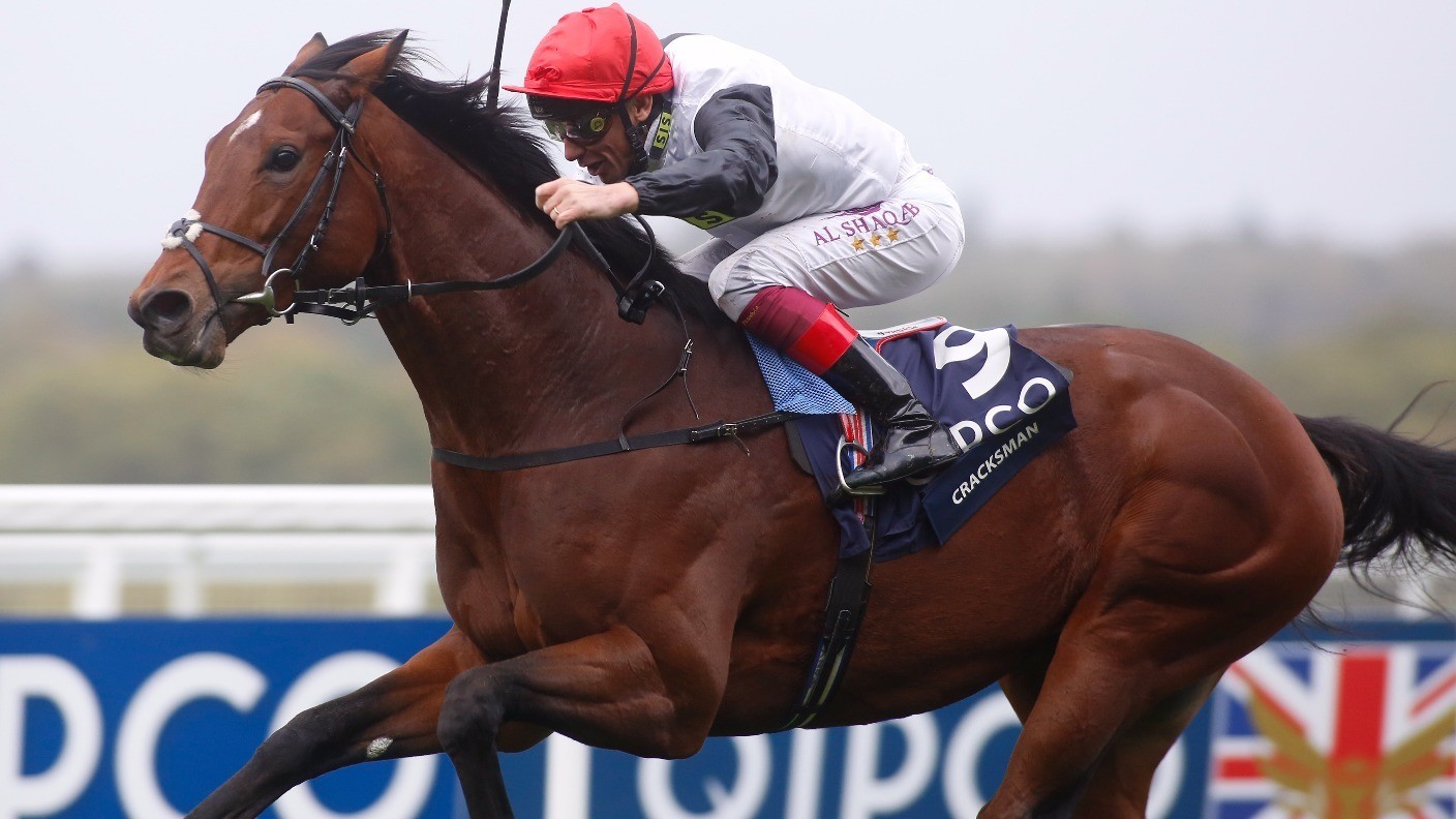 Cracksman officially rated as best horse in Europe