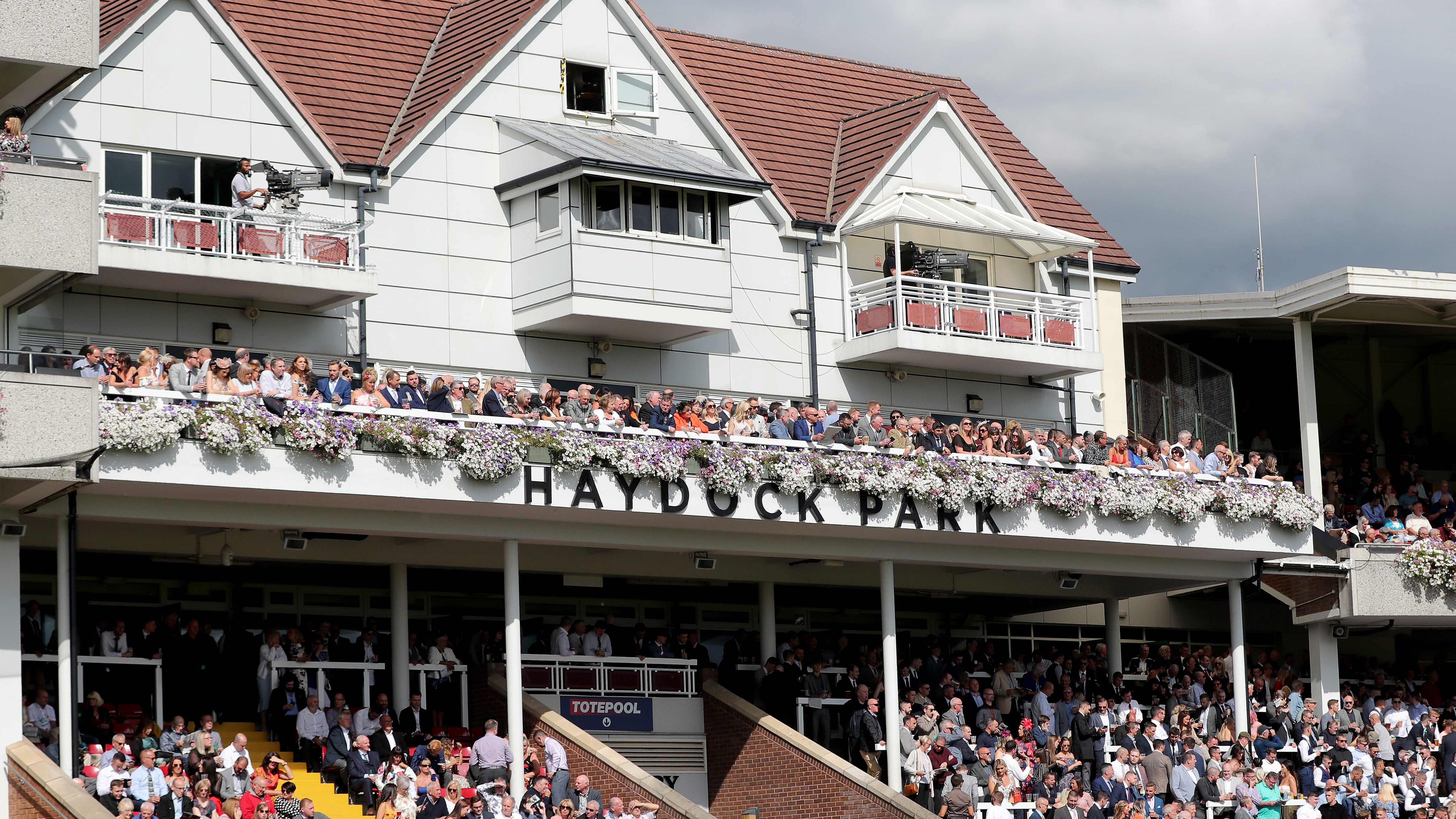 Are Dogs Allowed At Haydock Races
