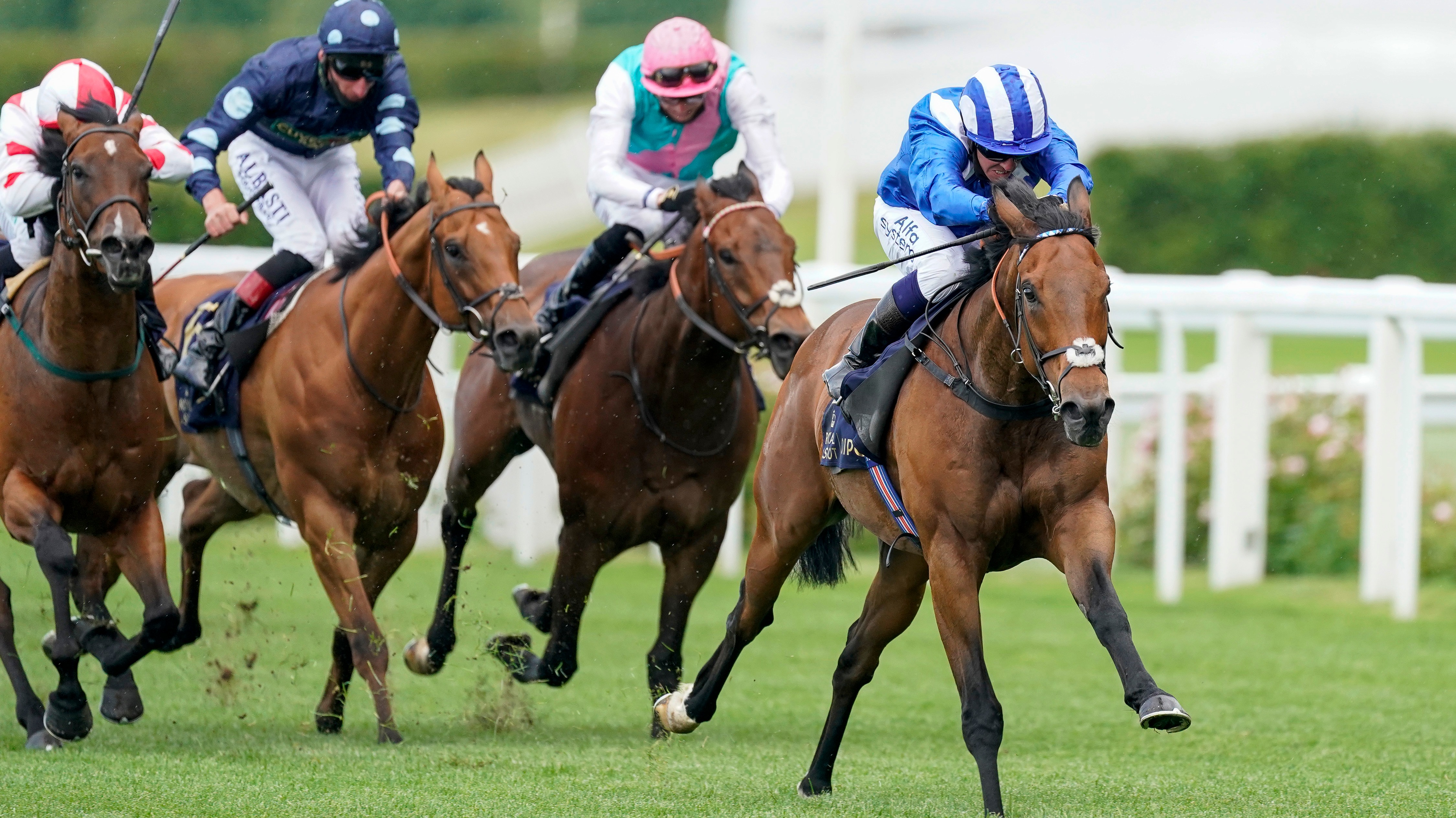 Grounds for concern – but Battaash still on track for Abbaye | Racing