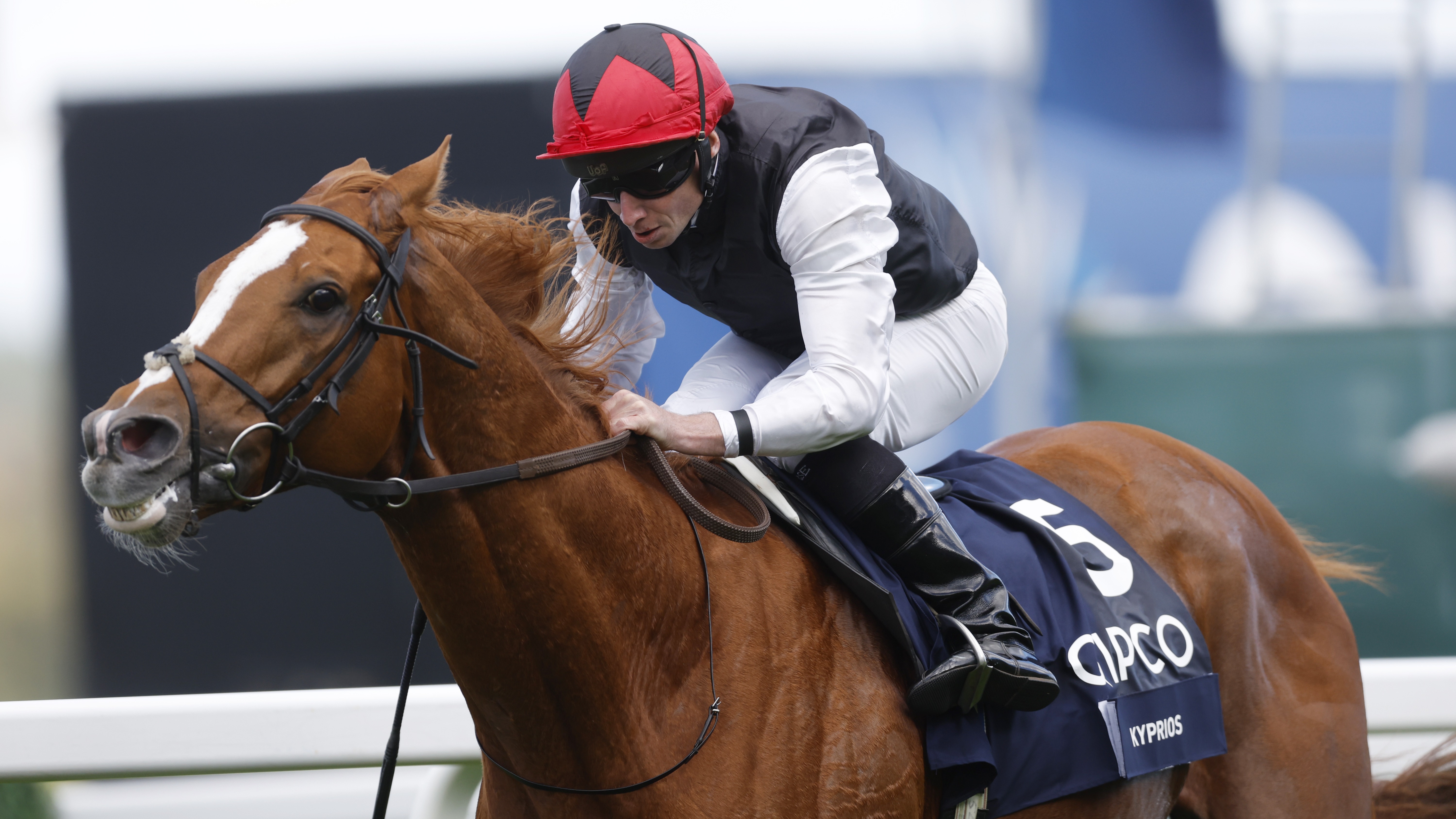 Stats Racn City of York Stakes and Long Distance Cup both upgraded to Group One ...