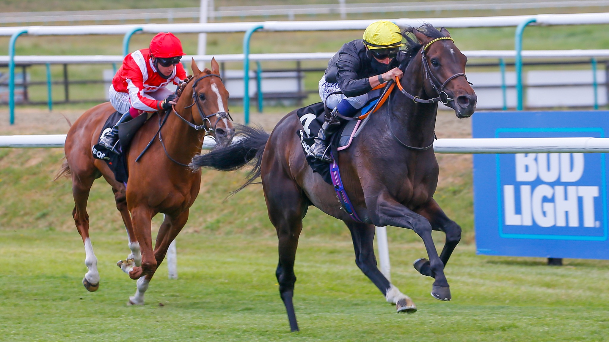 English King heads 17 colts chasing Derby glory | Racing