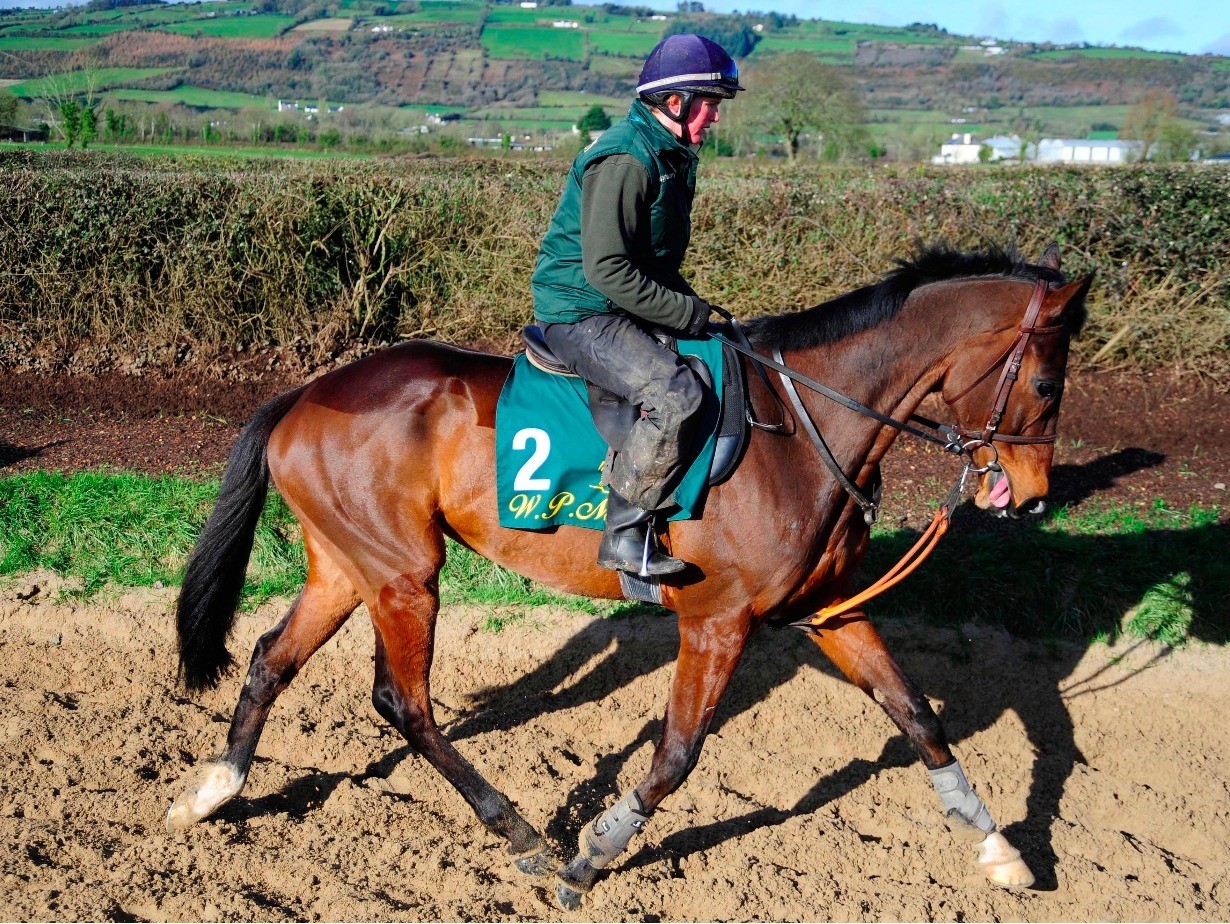 Douvan rivals assemble for Queen Mother Champion Chase | Racing