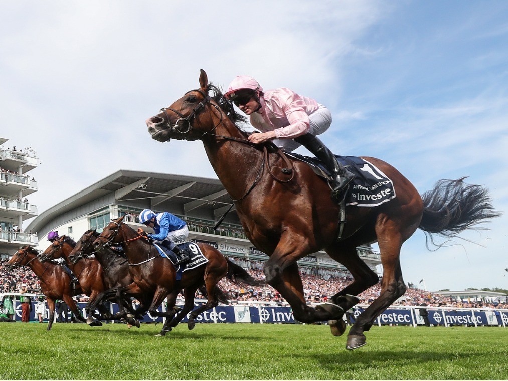 Van Dyck out to emulate Dad Galileo in King George | Racing