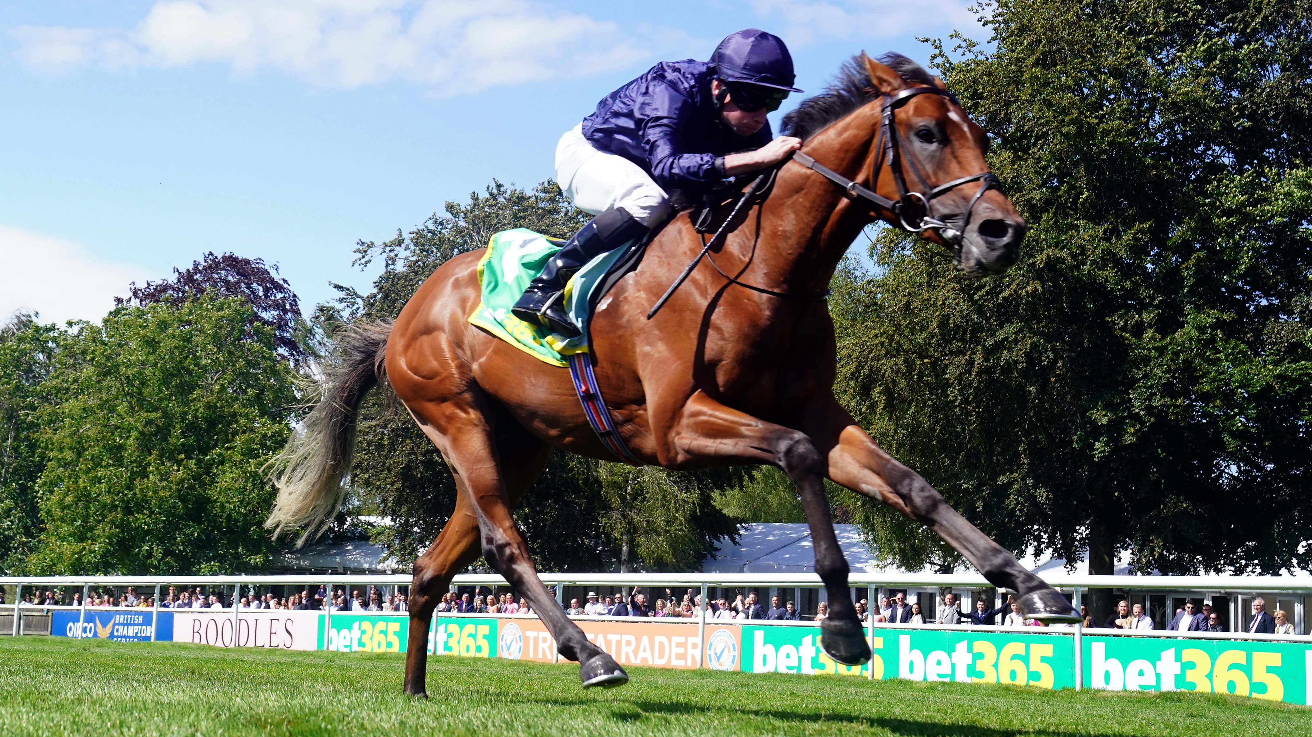 City Of Troy and Los Angeles both on course for Epsom, says O’Brien ...