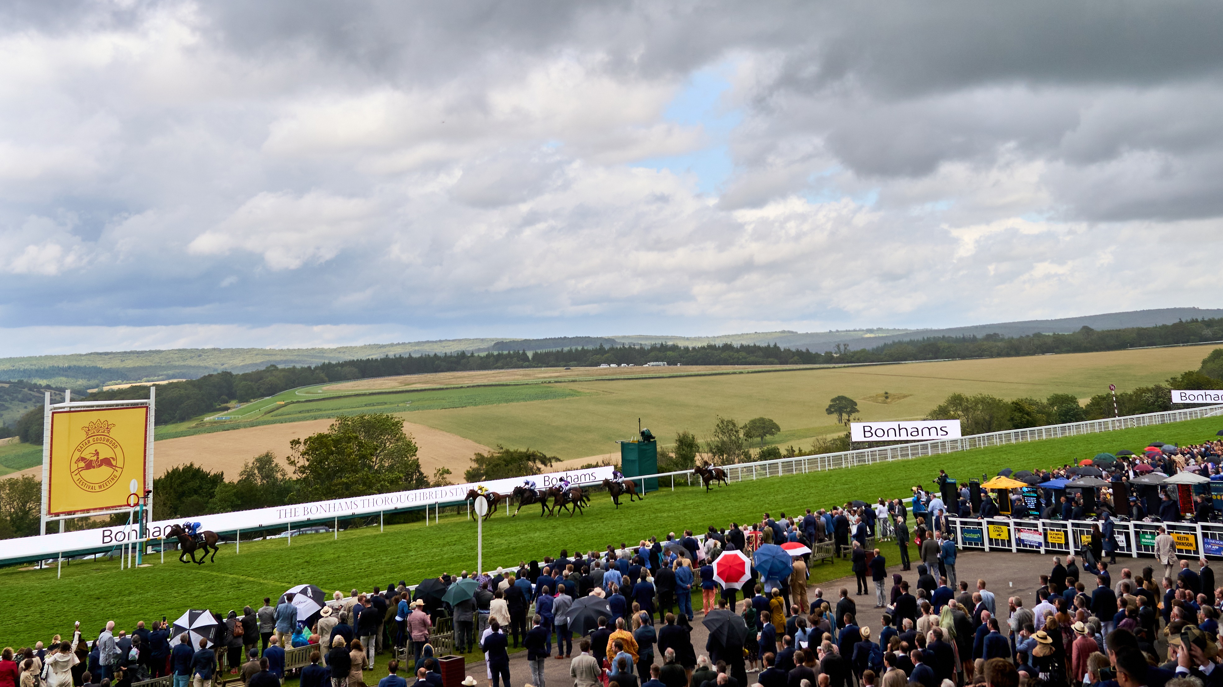 Baaeed breezes to the win in the Bonhams Thoroughbred Stakes | Racing