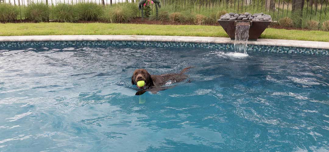 Stain Remover Pool