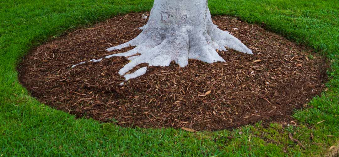 Landscaping Mulch