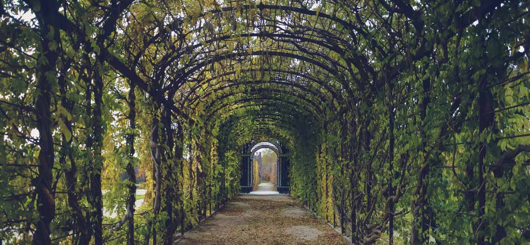 Landscaping Rock Walkway