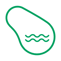 NPT Pool Shape Icon