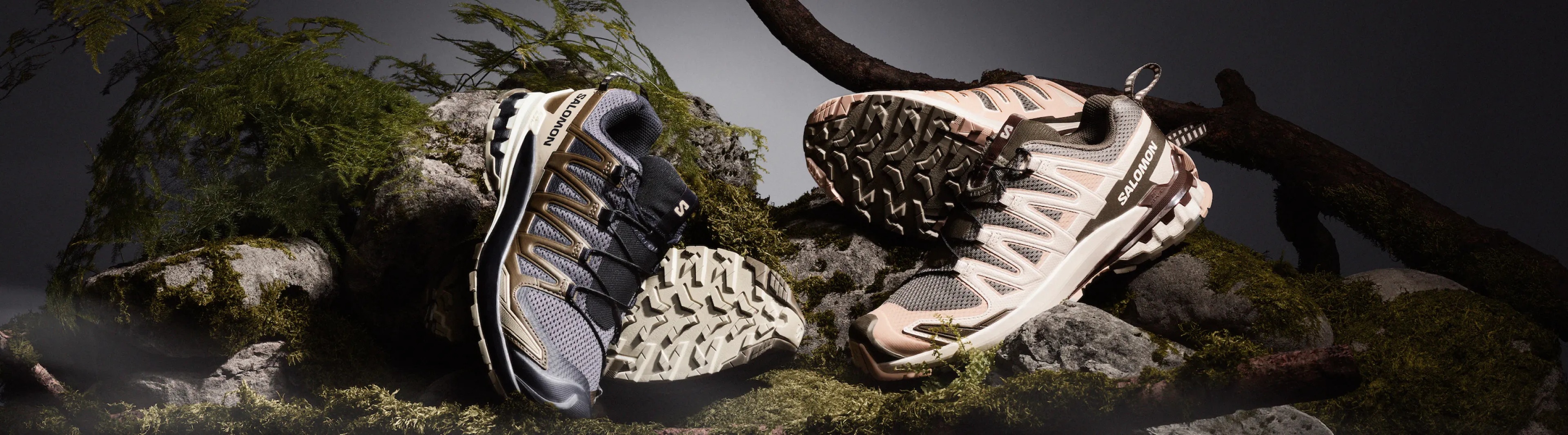 media_xapro_regular_01_3840x1066