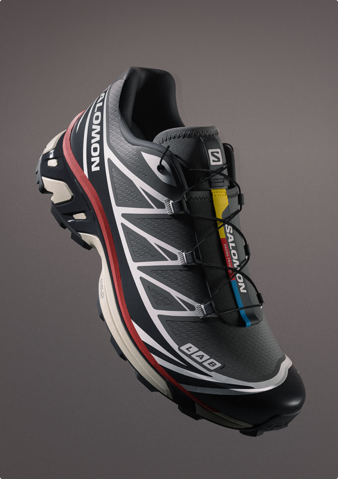 ICONS | Salomon