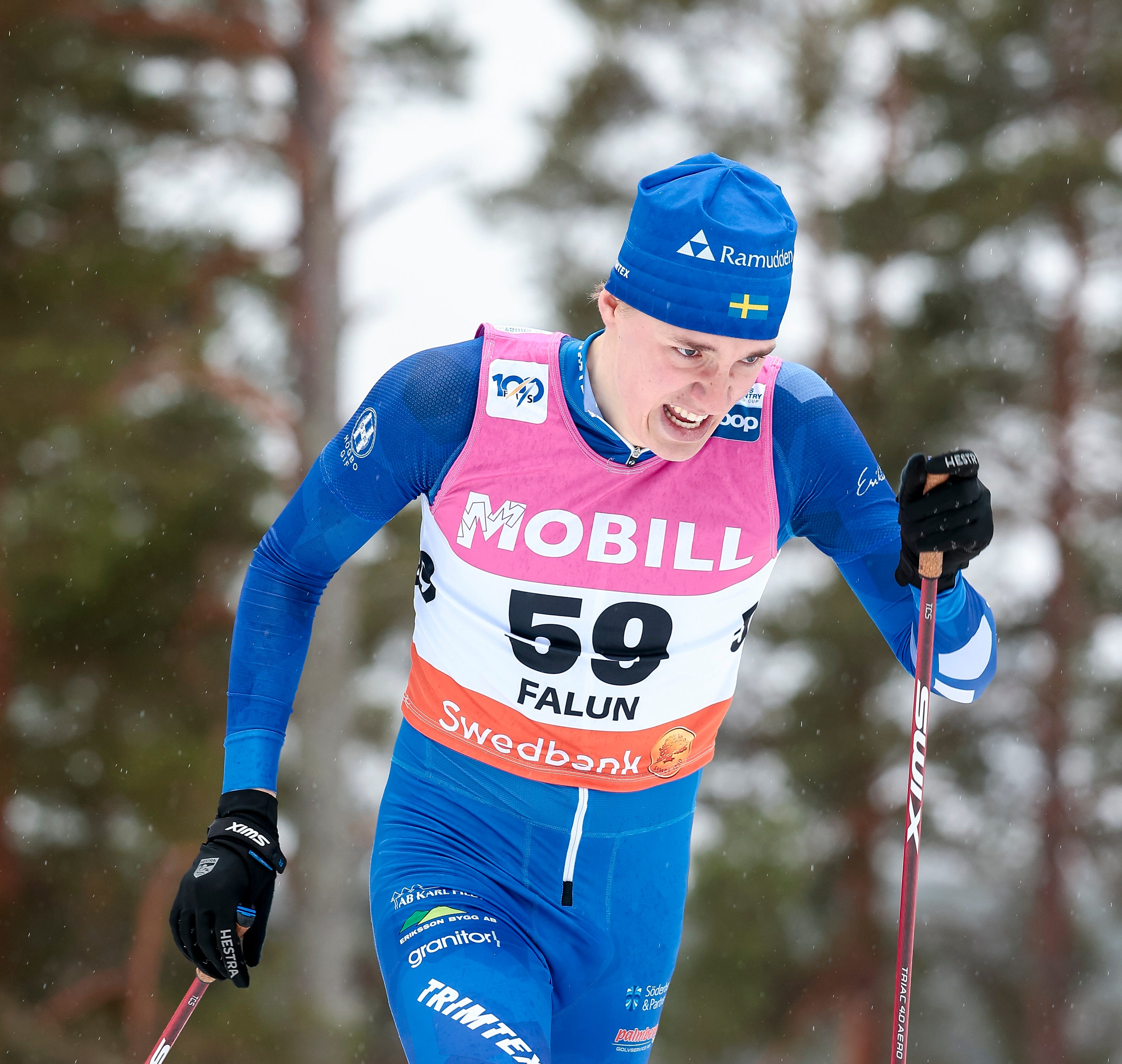 elias_danielsson_profile.jpg