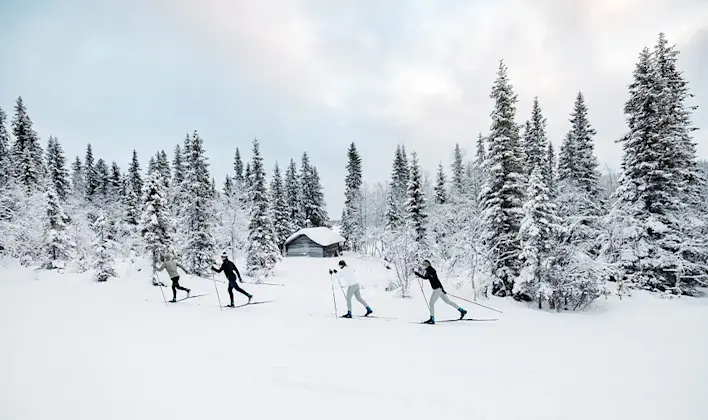 teaser-best-xc-spots-sweden-landscape