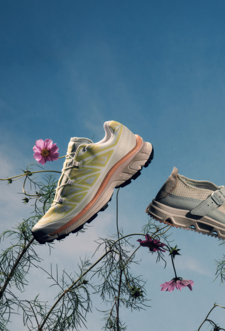 SS26-MP-Alpen Blossom Capsule PLP desktop 1
