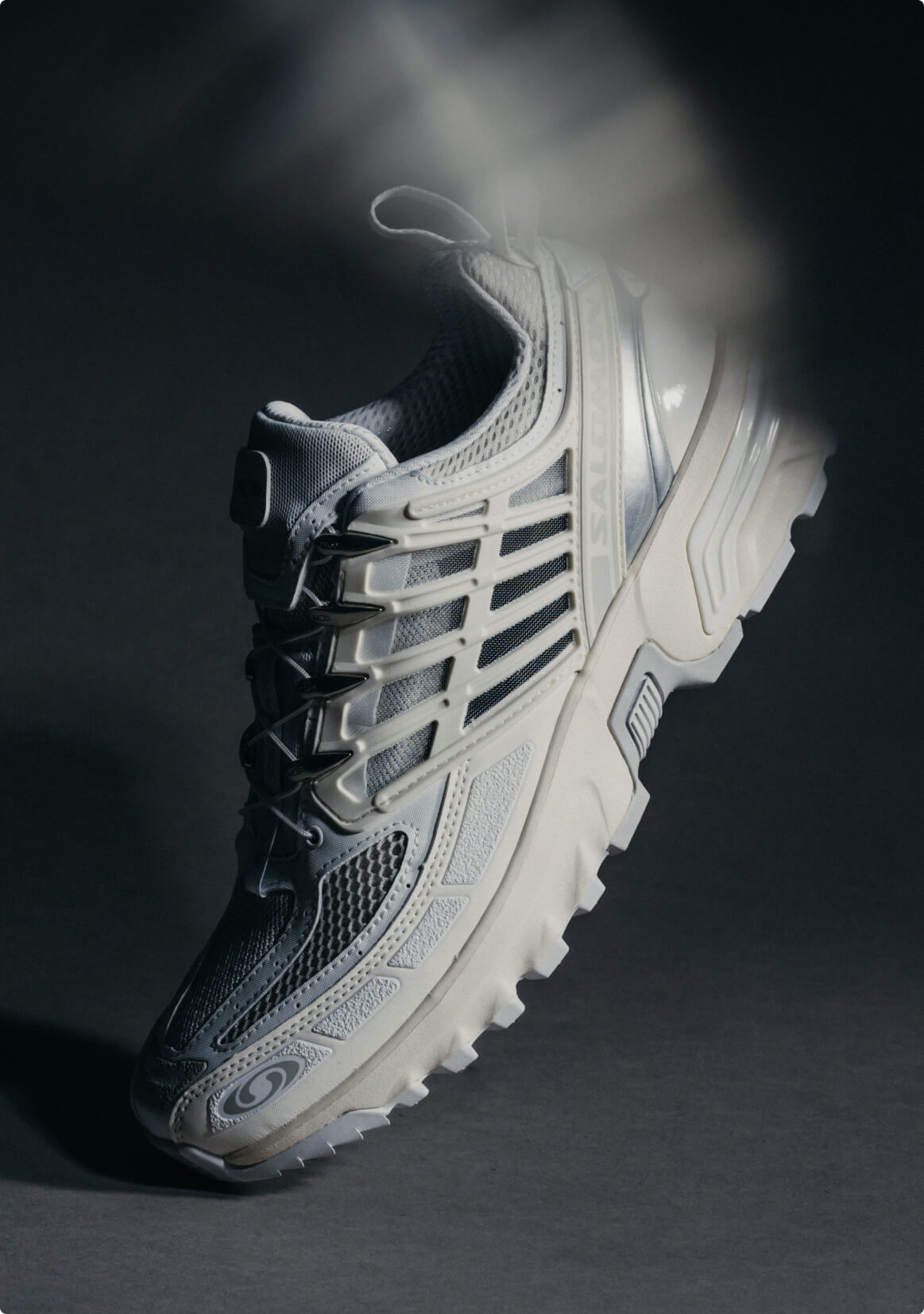 ICONS | Salomon
