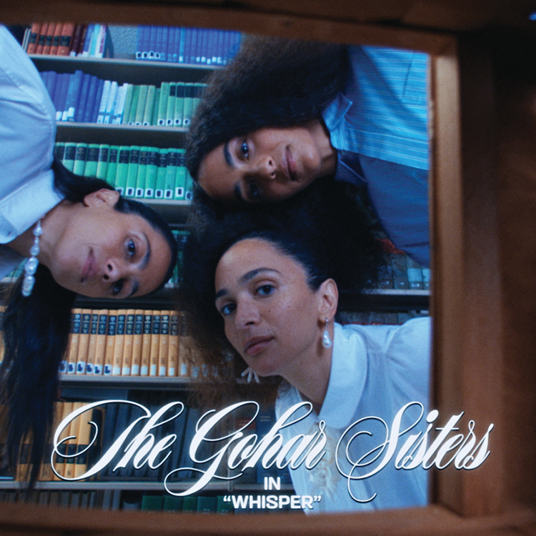 Video Thumbnail Desktop