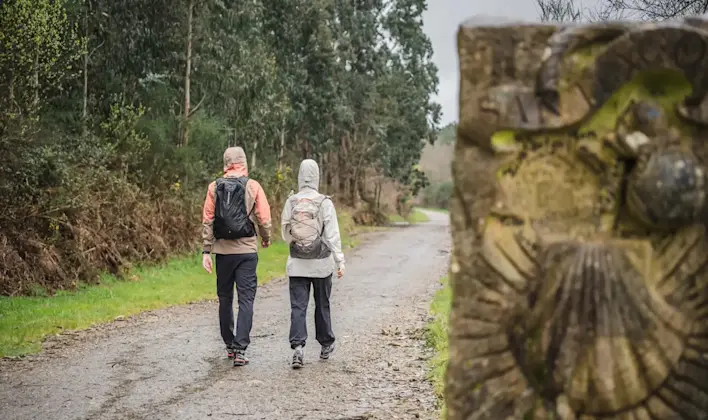 Essential equipment for the Camino de Santiago: a complete guide for a comfortable journey.
