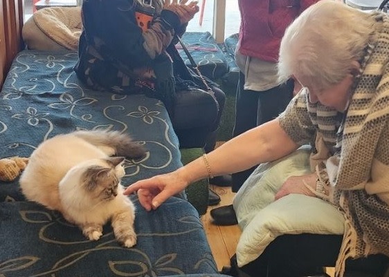 Elderly resident missing their cat gets special moment to spend time with feline friends