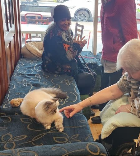 A resident smiles as another person approaches a cat in an aged care home excursion to a cat cafe