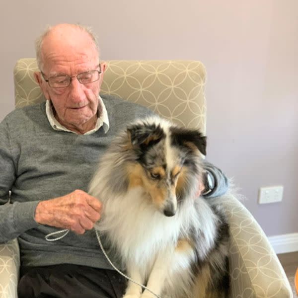 Bupa Barrabool elderly man enjoying dog therapy at the home