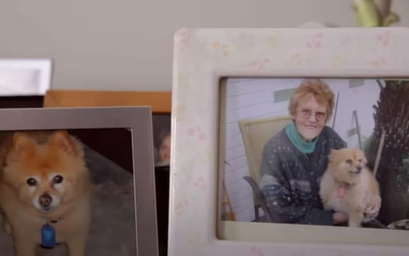 Bupa Aged Care Windsor resident with photo frames with their memory of a dog before helping those living with dementia