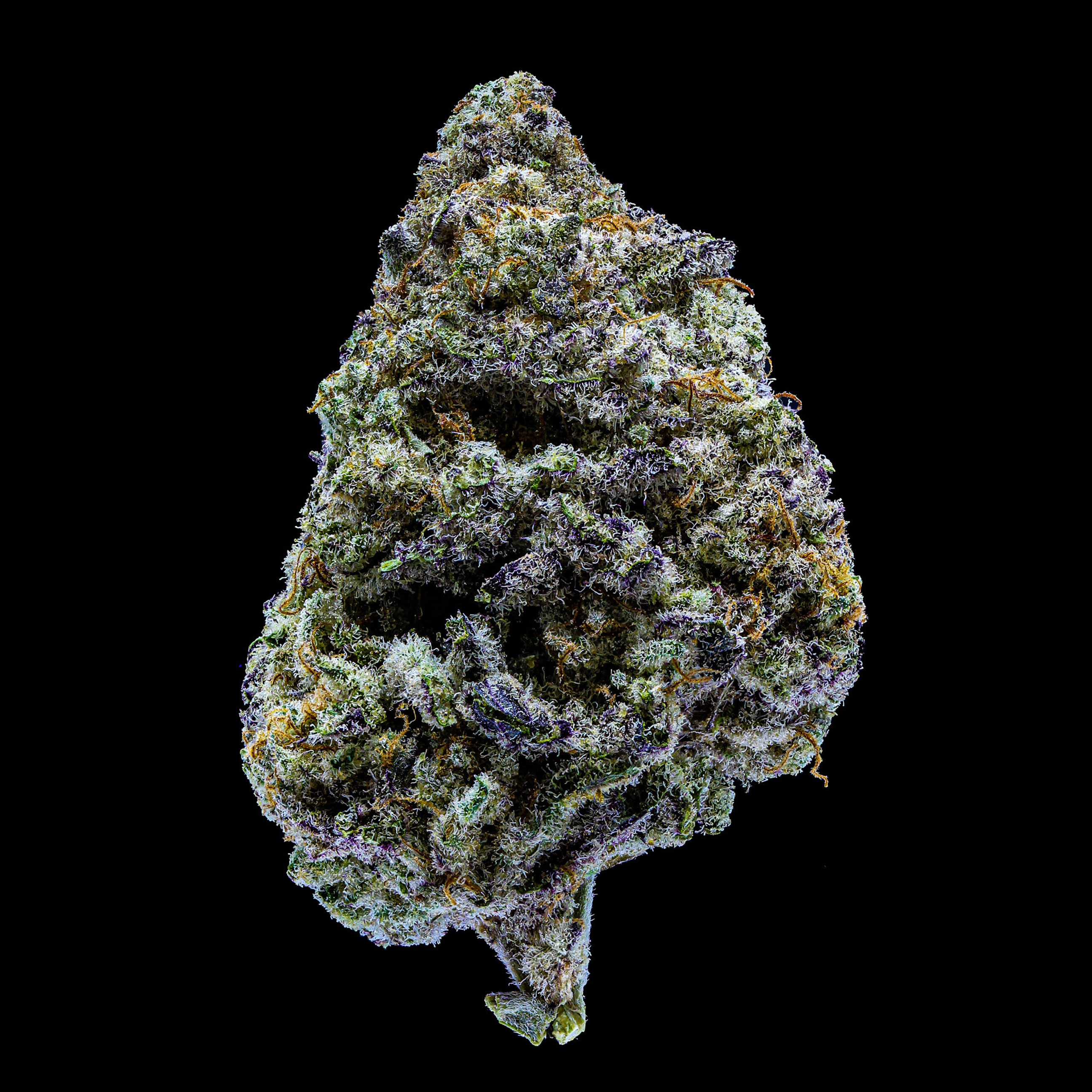MAC Cannabis Strain 2