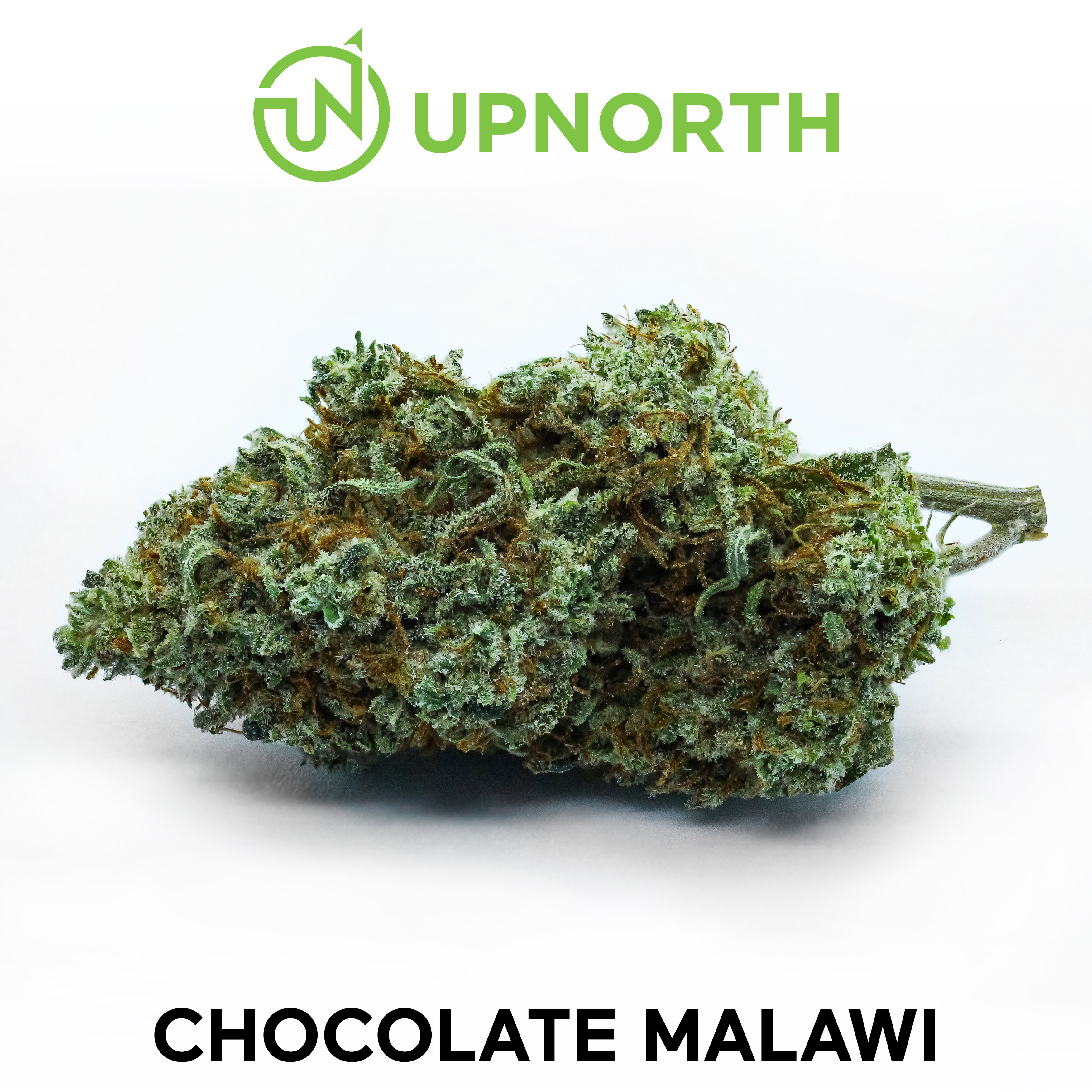 Chocolate Malawi Cannabis Strain WhiteBG