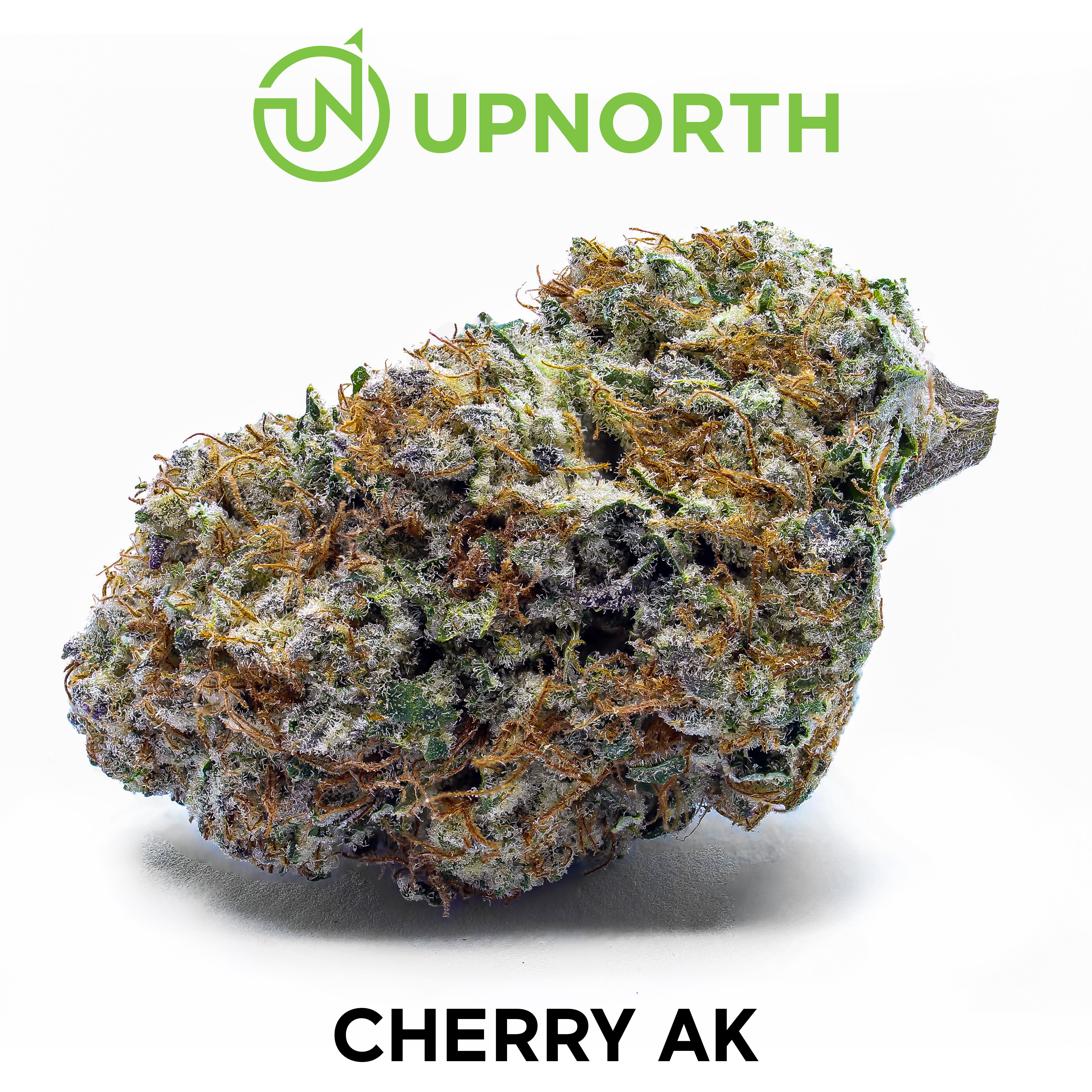 Cherry AK Cannabis Strain WhiteBG