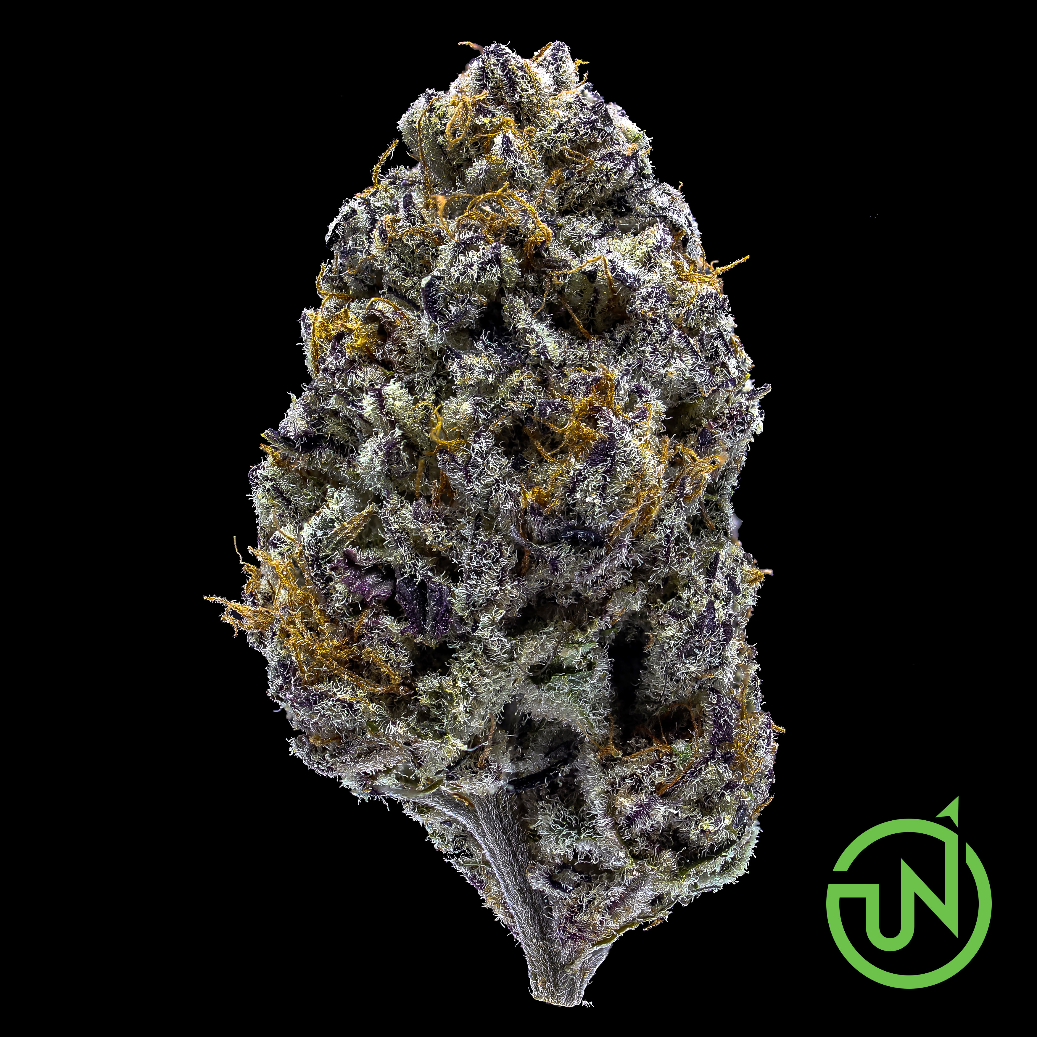 Purple Punch Cannabis Strain Float2