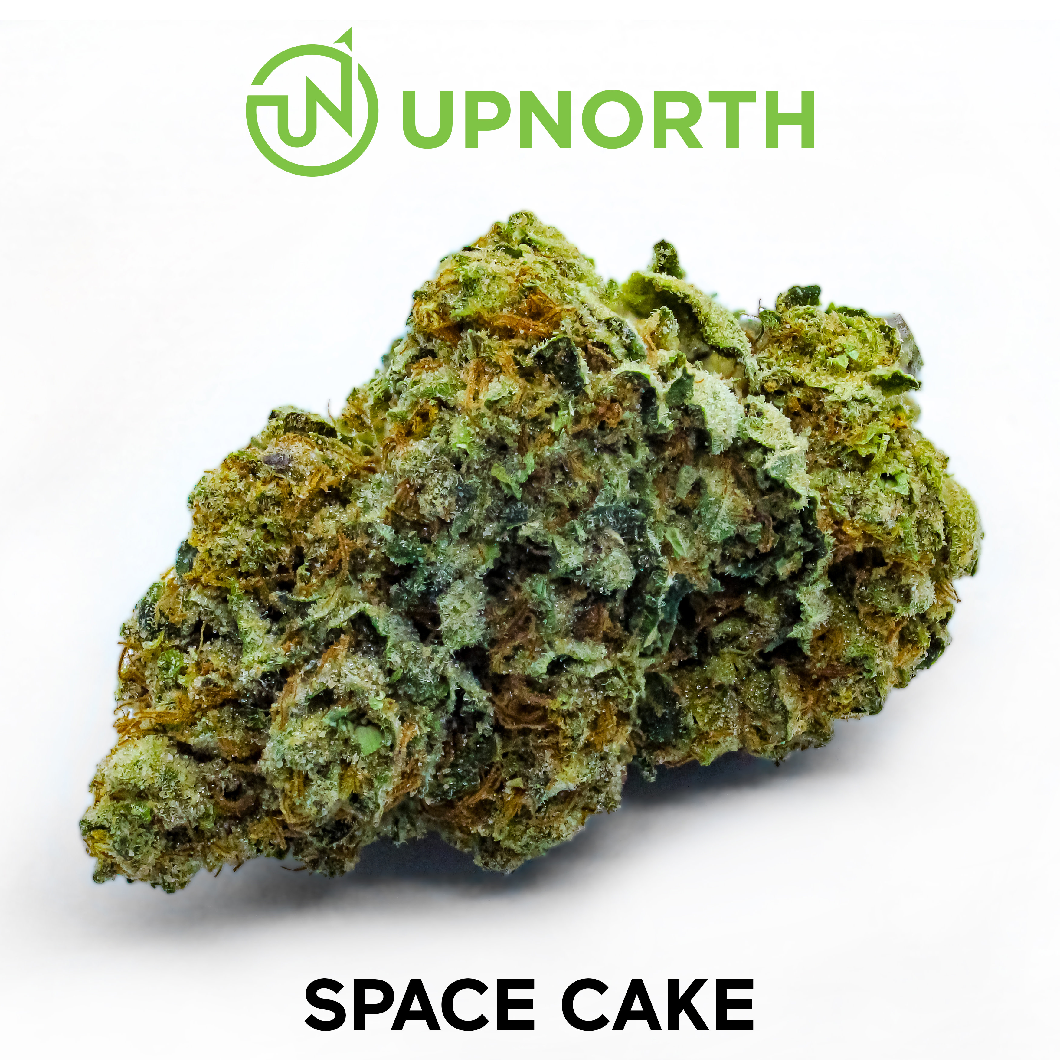 Space Cake Cannabis Strain WhiteBG