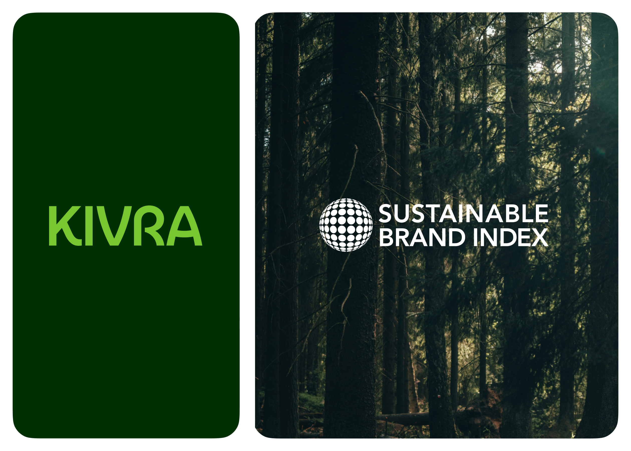 imageblock sustainablebrandindex 2025