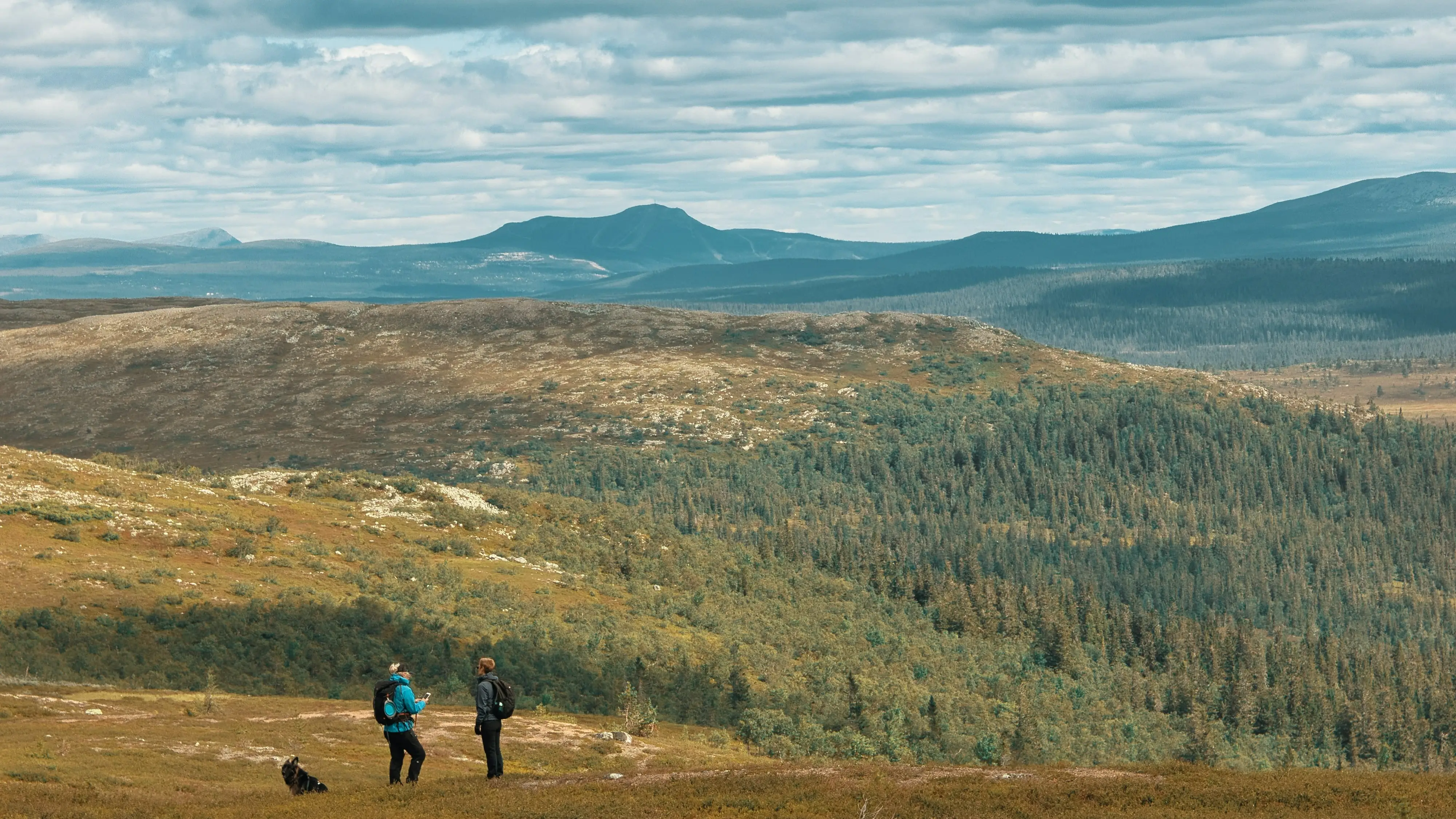 Landskap med vandrare som illustrerar ett enklare och mer hållbart sätt att leva