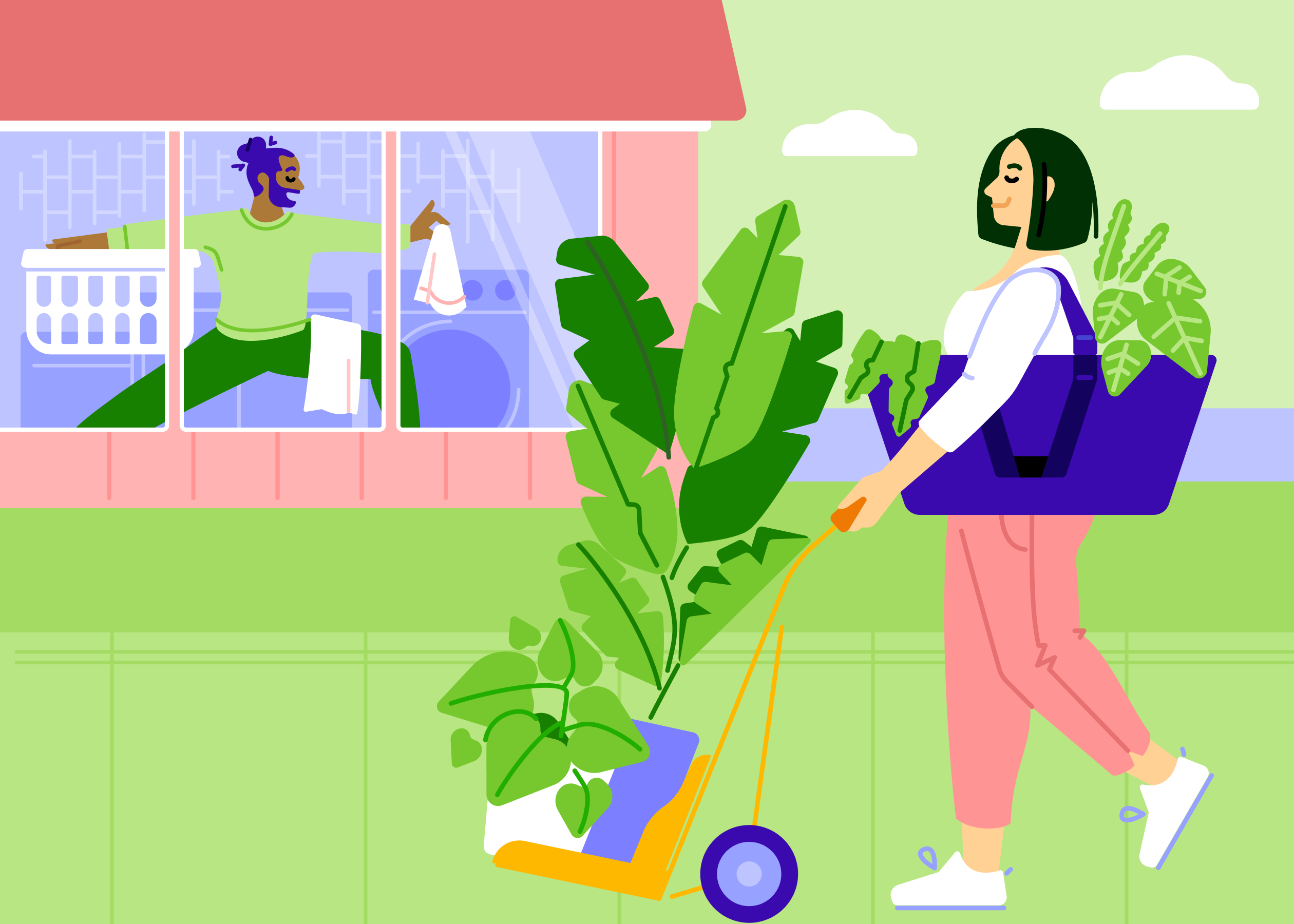 Person moving plant