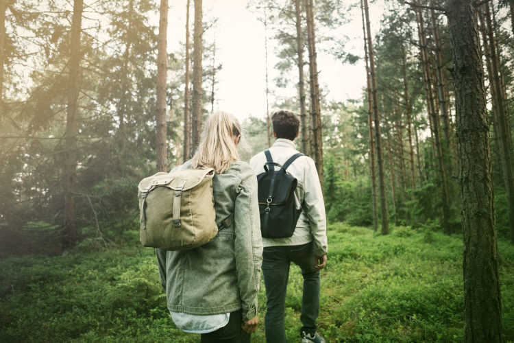 Two people walking in the wood.