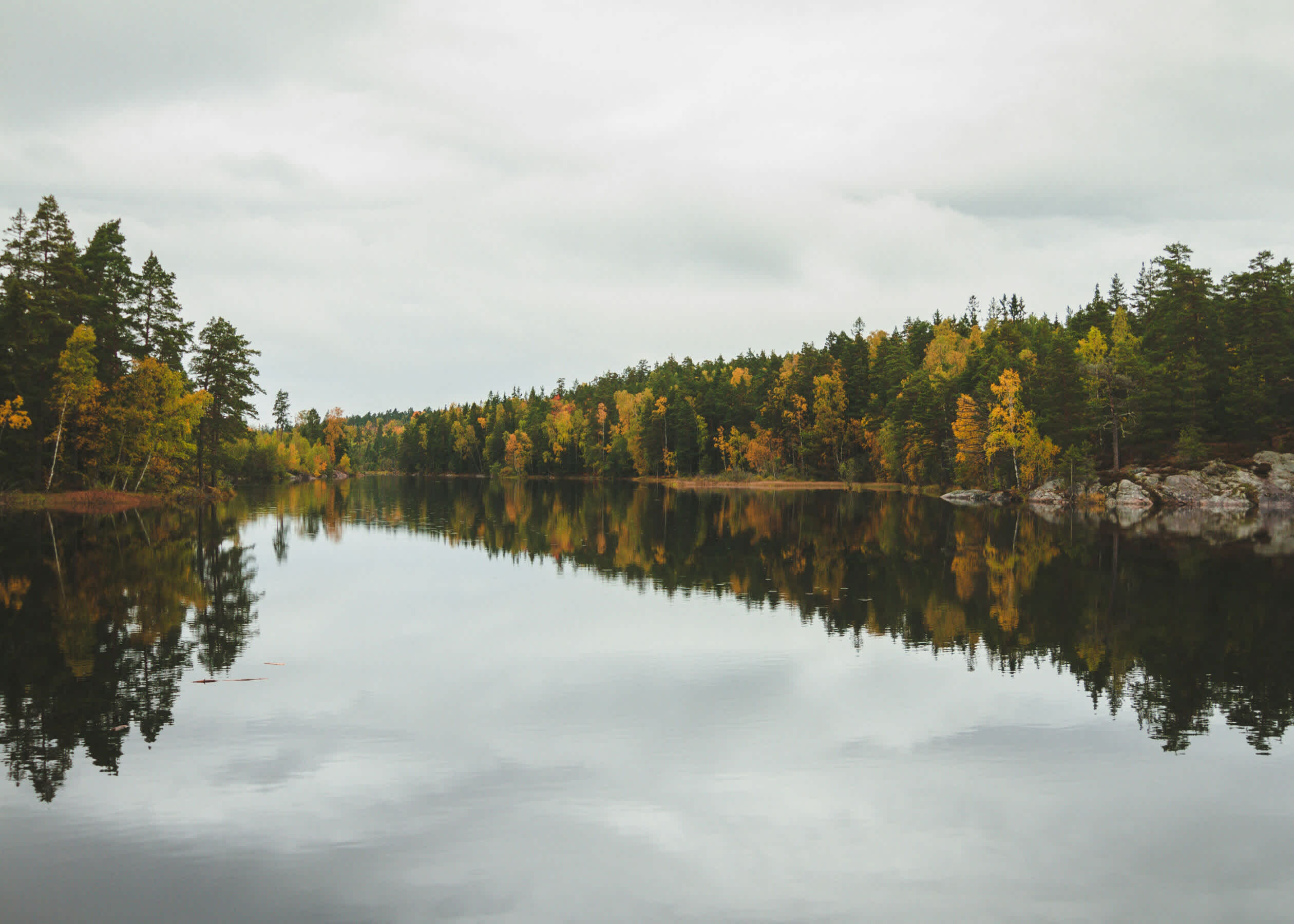 03 img web toxic-min