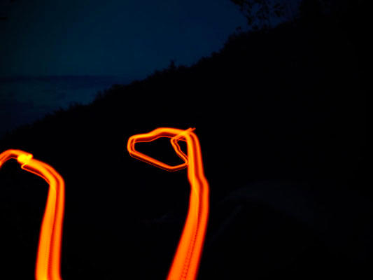 night camp generative animation screenshot