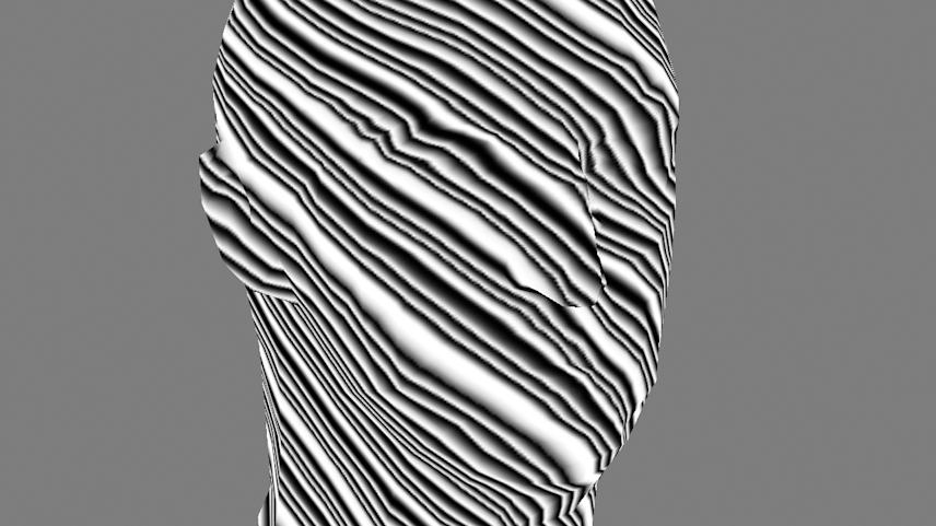 visual experiment with low poly 3d head model